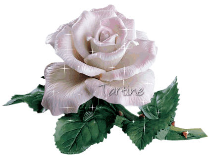 tu es l'homme  avec je vous faire l'amoure